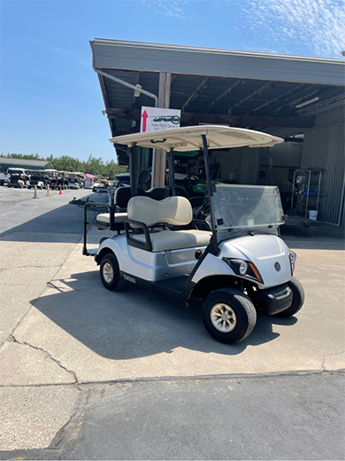 2019 Yamaha Drive 2 48v 2019 Yamaha Drive 2 48v